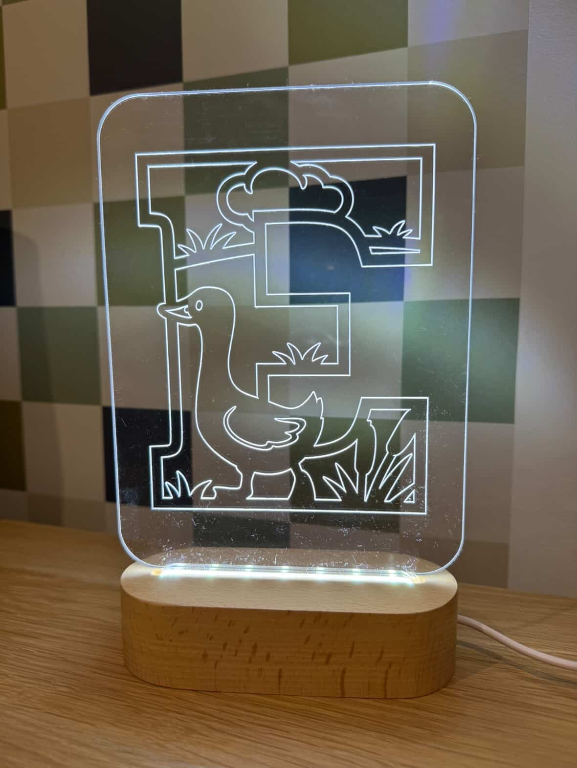 Goose Letter LED Night Light