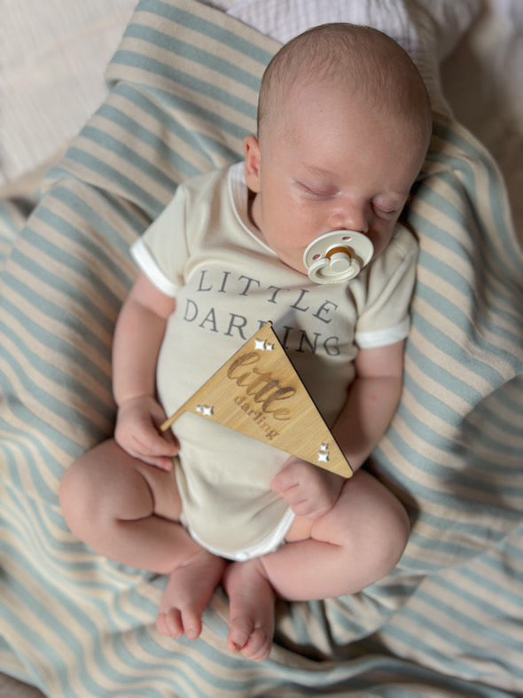 Valentine’s Day Flag