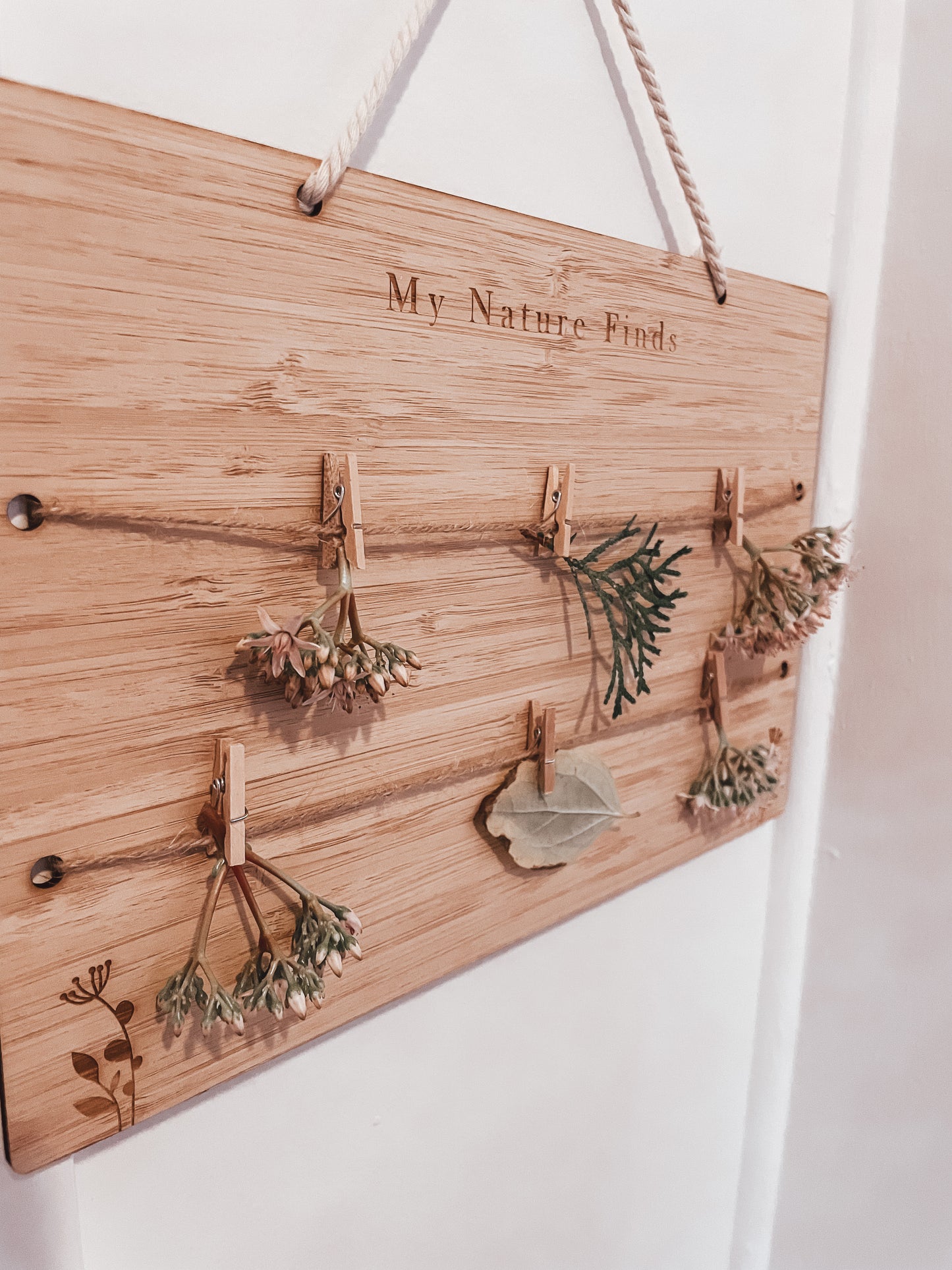 My Nature Finds Board