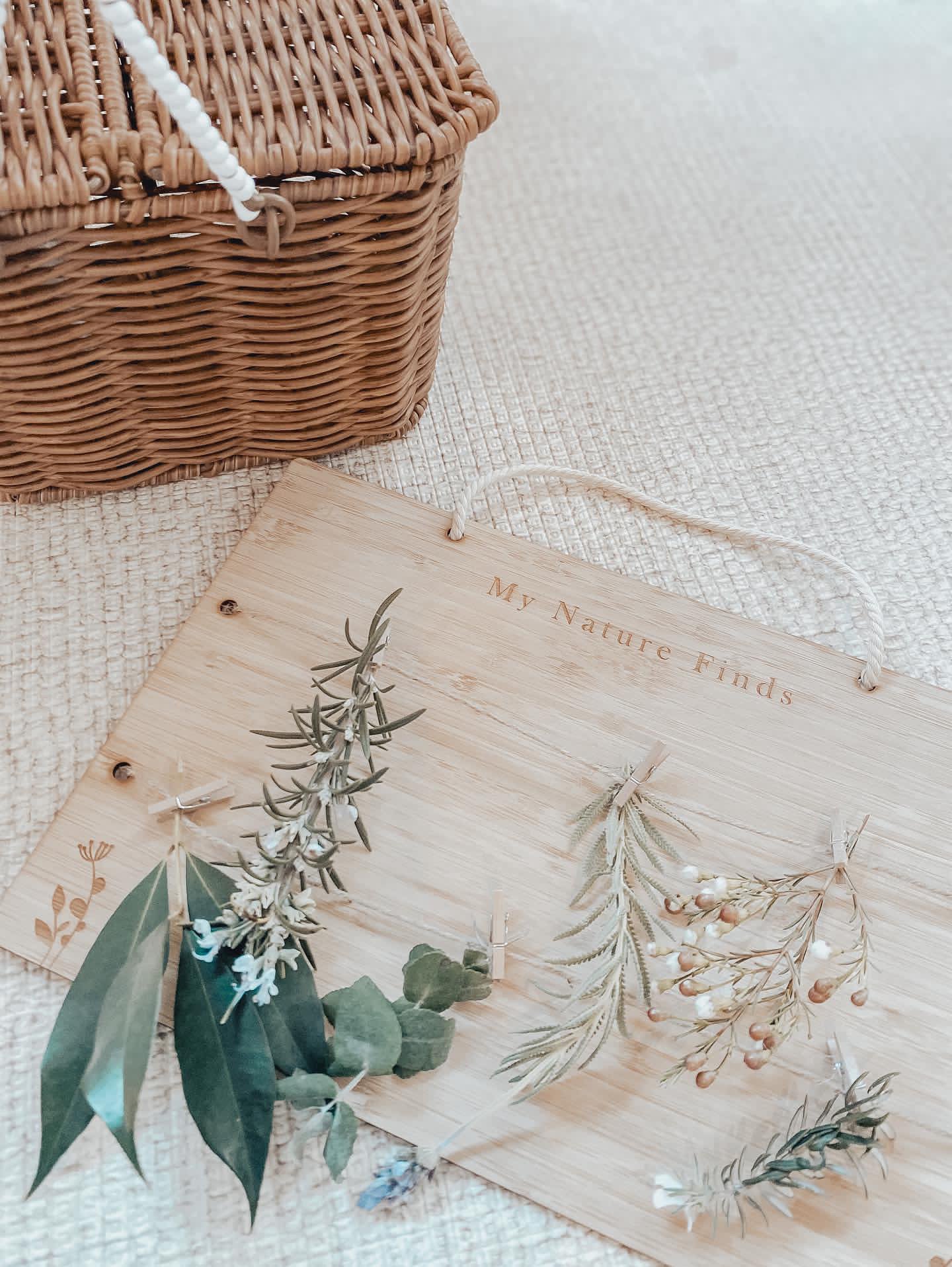 My Nature Finds Board