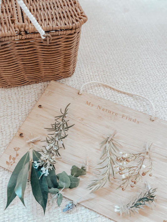 My Nature Finds Board